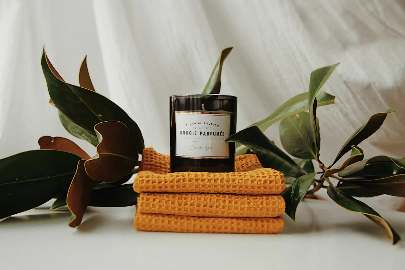 Serviettes, bougie et plante dans une ambiance spa